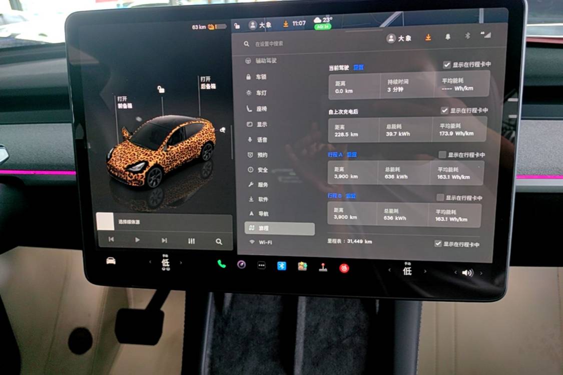 Tesla Model Y 2023 car image #19