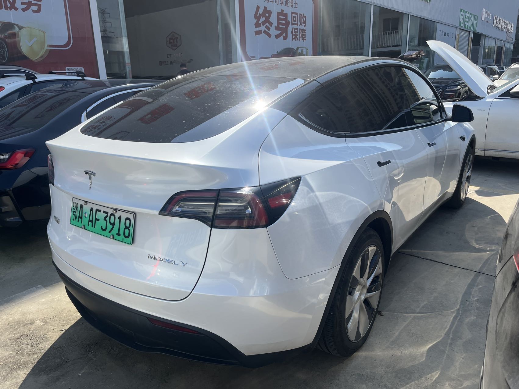 Tesla Model Y 2023 car image #6
