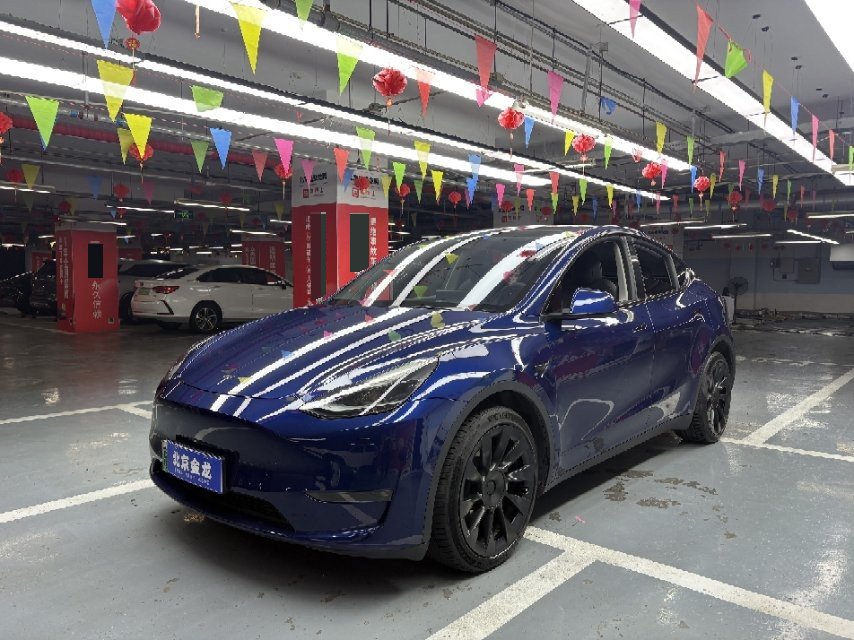 Tesla Model Y 2021 Tesla Model Y 2021 car image