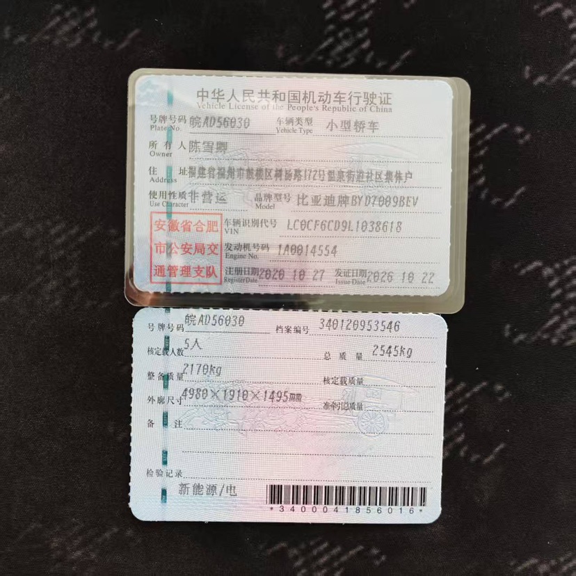 BYD Han 2020 #10 BYD Han 2020 immagine di auto #10