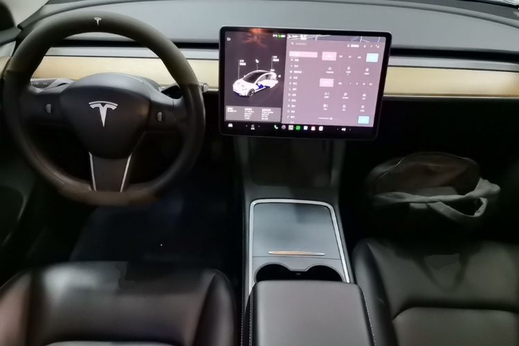 Tesla Model 3 2021 car image #11