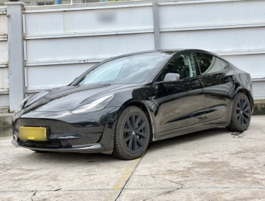 Tesla Model 3 2022 Tesla Model 3 2022 car image