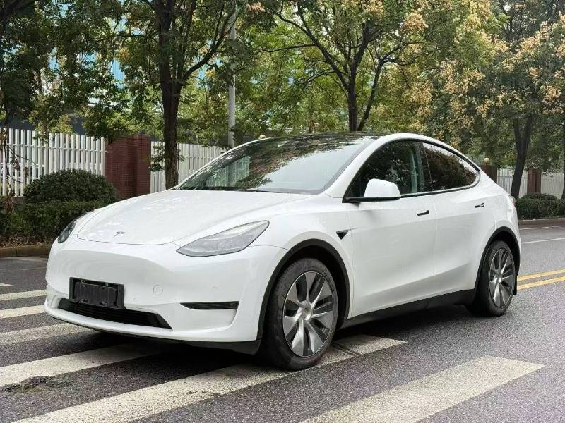 Tesla Model Y 2021 Tesla Model Y 2021 car image