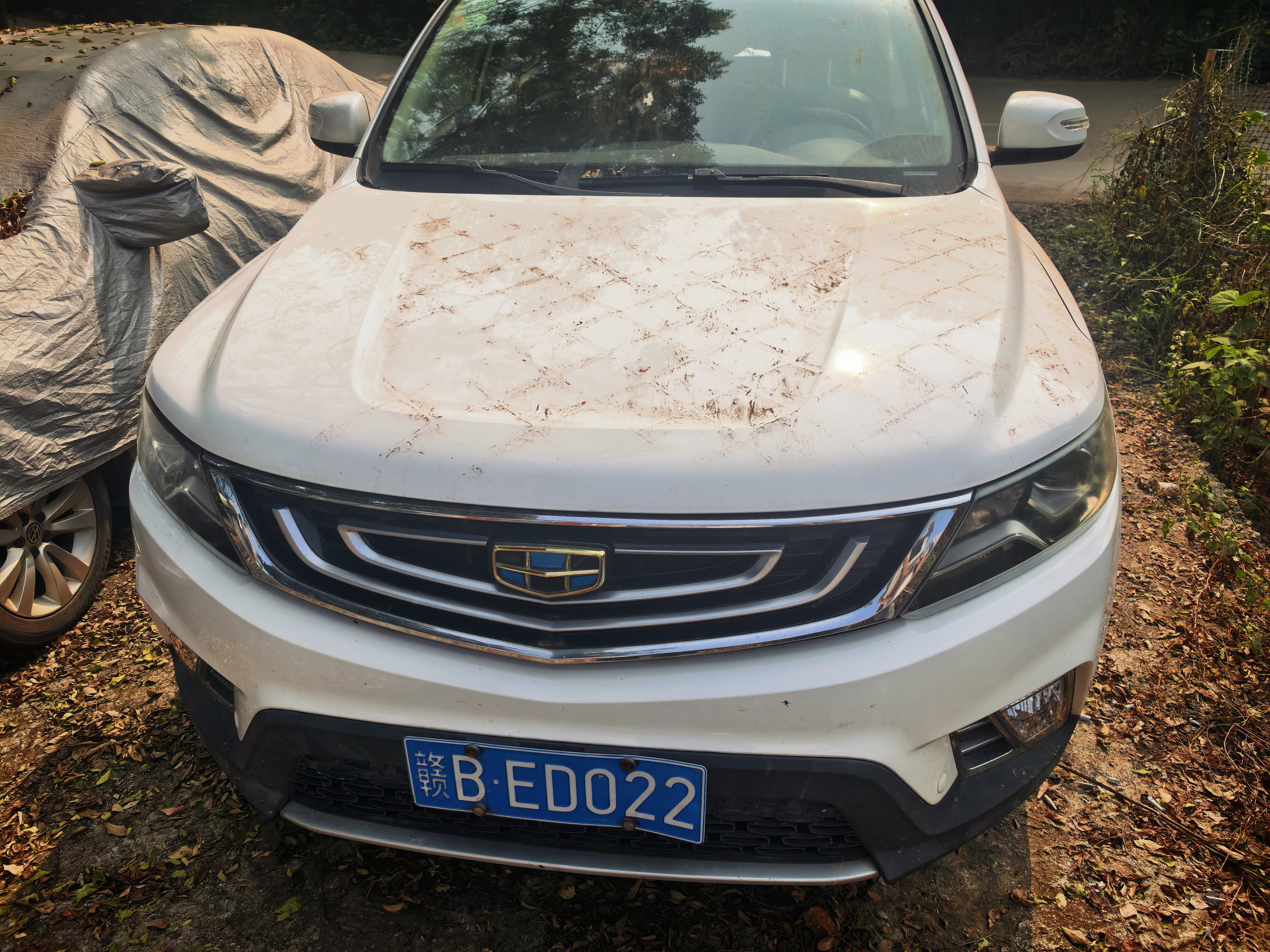 GEELY Vision X6 2018 صورة سيارة #3