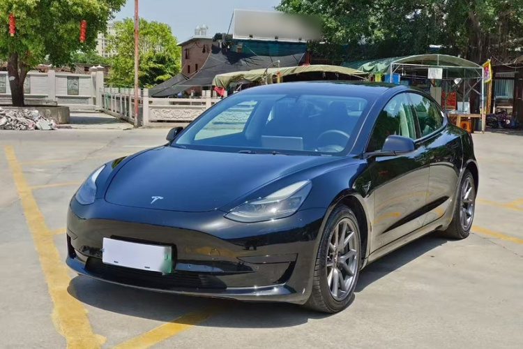 Tesla Model 3 2021 #2 Tesla Model 3 2021 car image #2