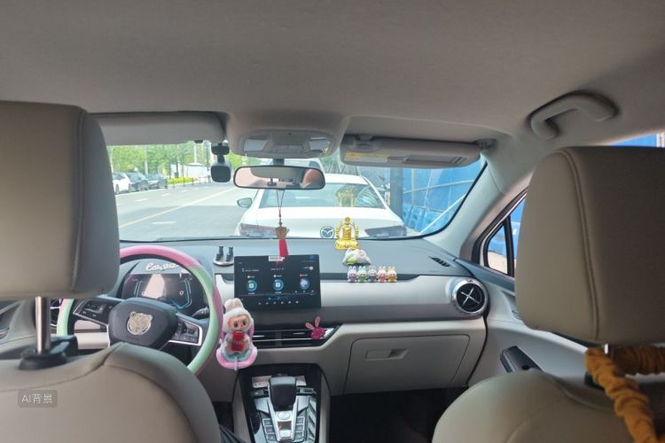 BYD Yuan Pro 2021 #20 BYD Yuan Pro 2021 صورة سيارة #20