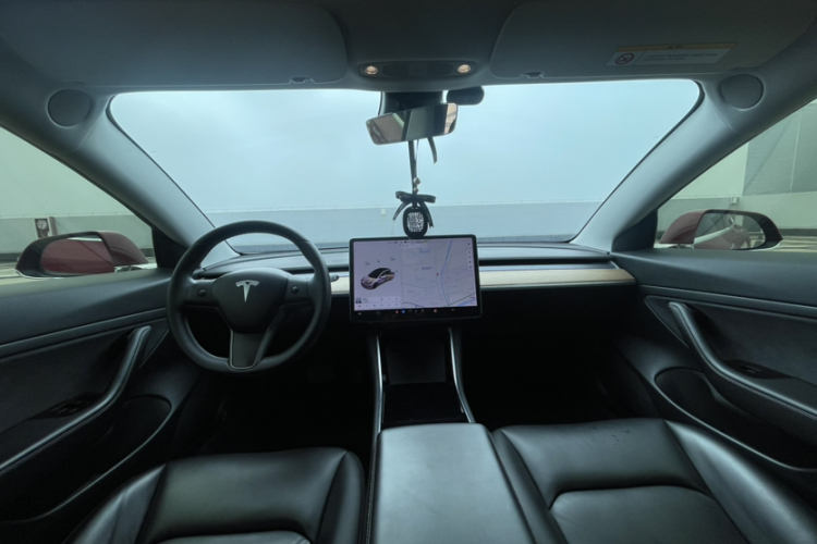 Tesla Model 3 2020 #9 Tesla Model 3 2020 immagine di auto #9