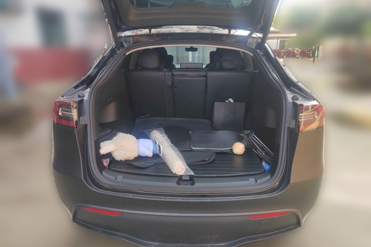 Tesla Model Y 2021 #21 Tesla Model Y 2021 car image #21