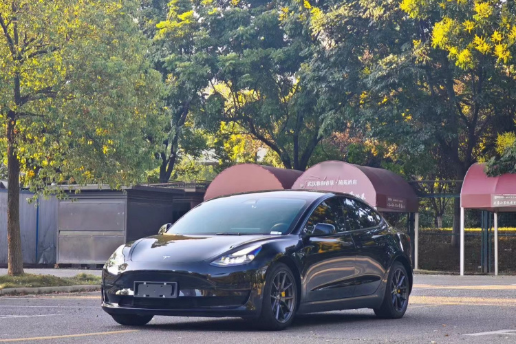 Tesla Model 3 2021 #2 Tesla Model 3 2021 car image #2