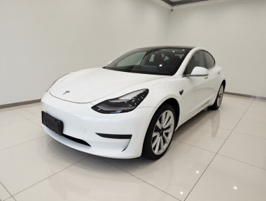 Tesla Model 3 2020 car image 