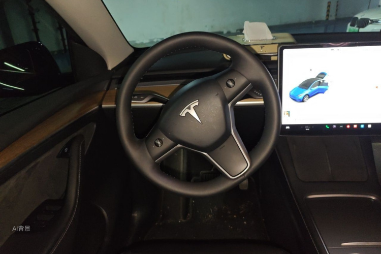 Tesla Model Y 2021 car image #12