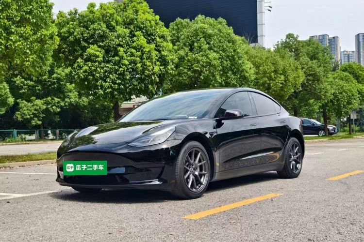 Tesla Model 3 2022 #2 Tesla Model 3 2022 car image #2
