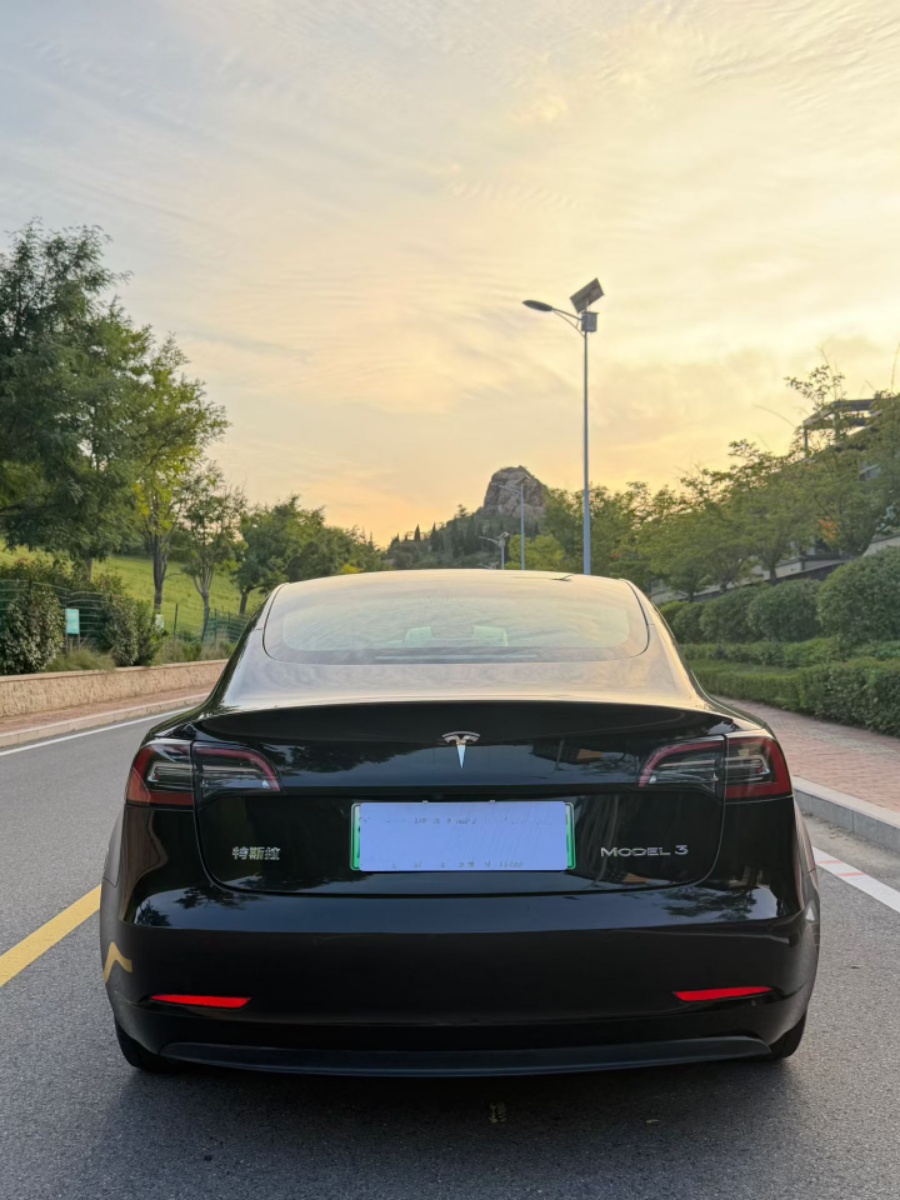 Tesla Model 3 2021 car image #8