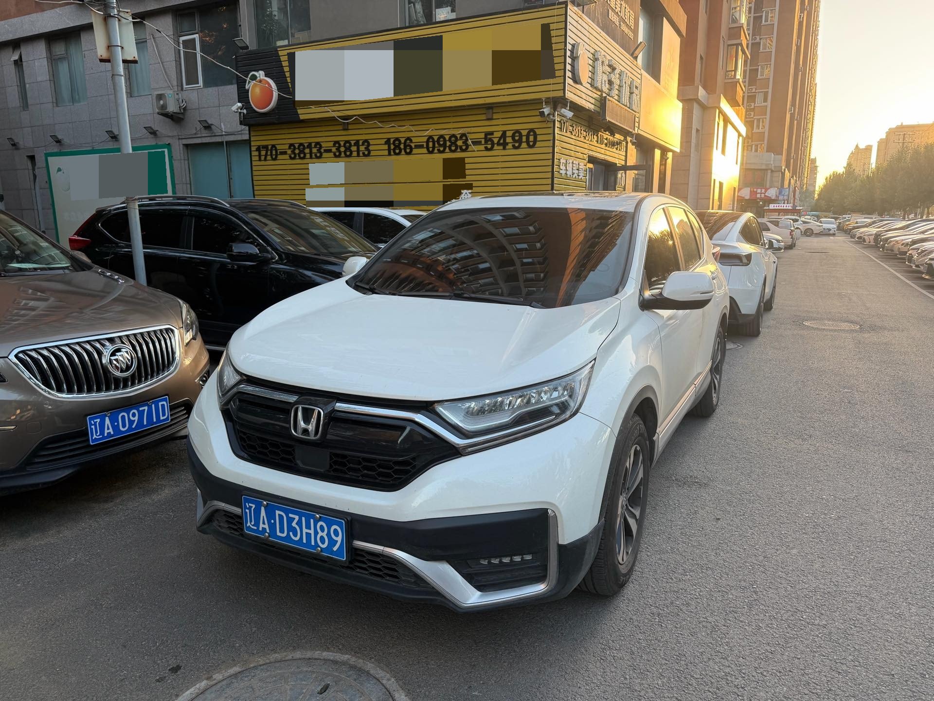 Honda CR-V 2020 Honda CR-V 2020 car image