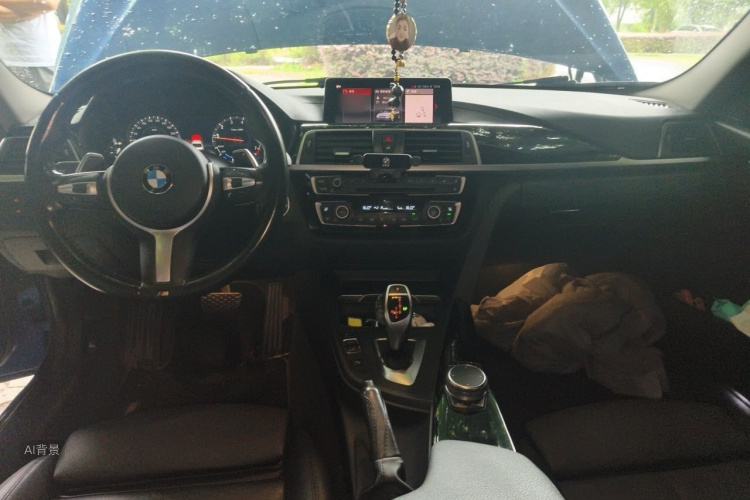 BMW 3 Series 2018 car image #11