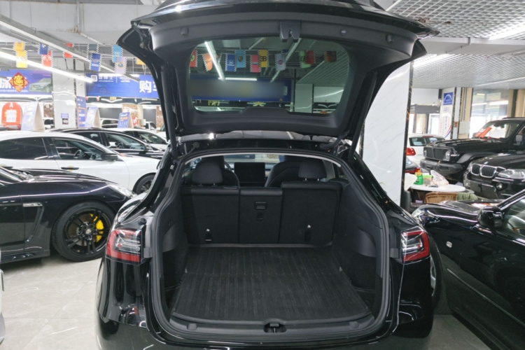 Tesla Model Y 2023 #19 Tesla Model Y 2023 car image #19