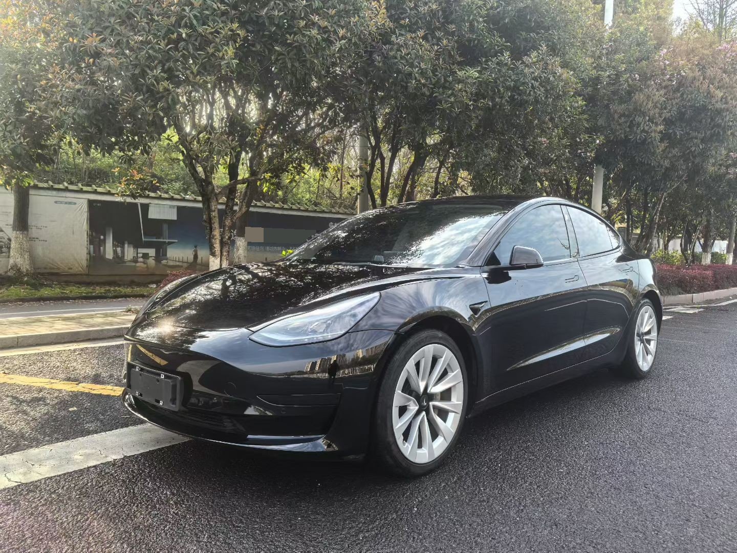 Tesla Model 3 2023 Tesla Model 3 2023 immagine di auto