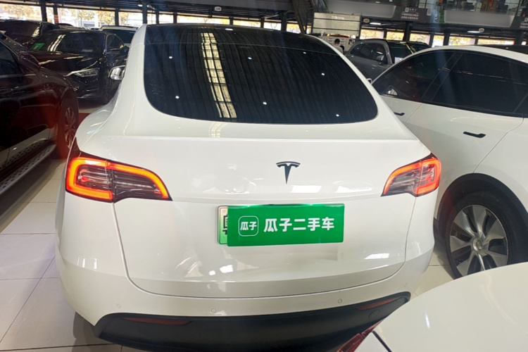 Tesla Model Y 2023 immagine di auto #6