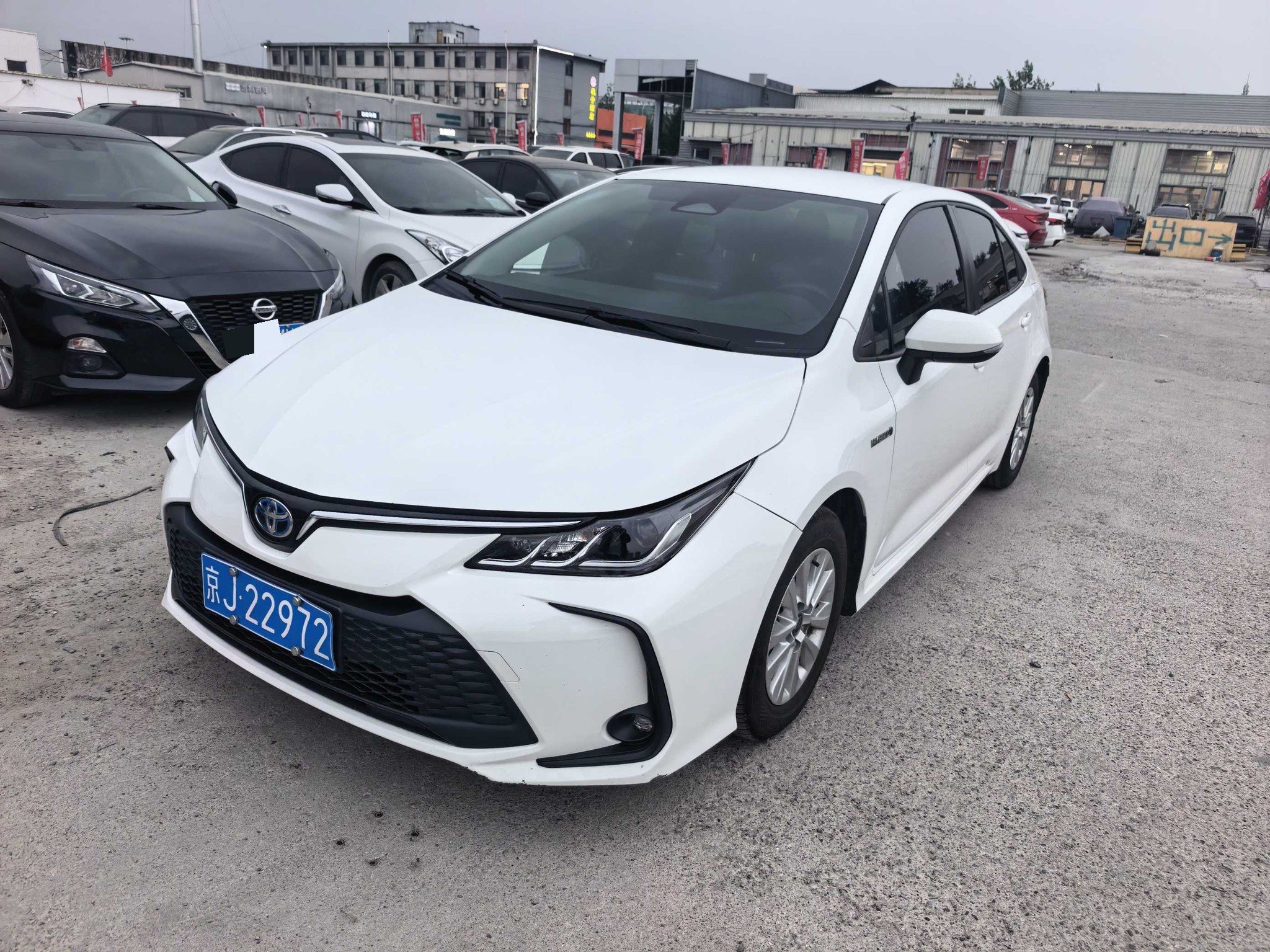 Toyota Corolla 2023 car image 