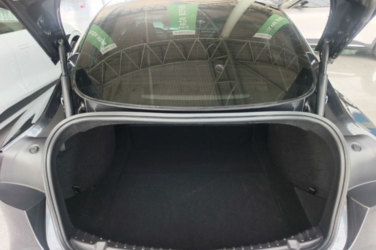 Tesla Model 3 2024 immagine di auto #19