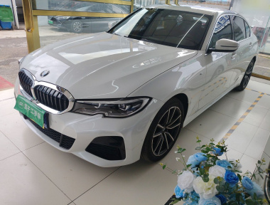 BMW 3 Series 2021 BMW 3 Series 2021 imagen de coche