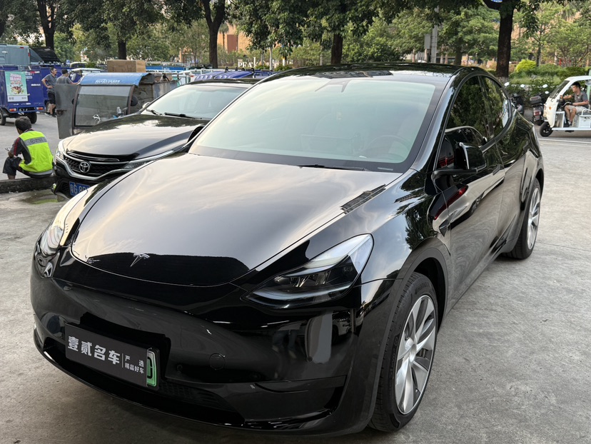 Tesla Model Y 2022 car image 