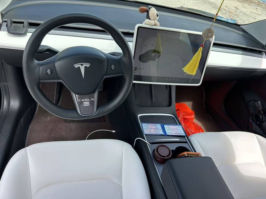 Tesla Model 3 2021 #9 Tesla Model 3 2021 car image #9