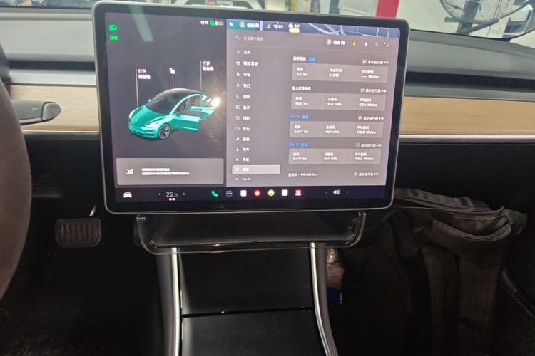 Tesla Model 3 2020 #13 Tesla Model 3 2020 immagine di auto #13