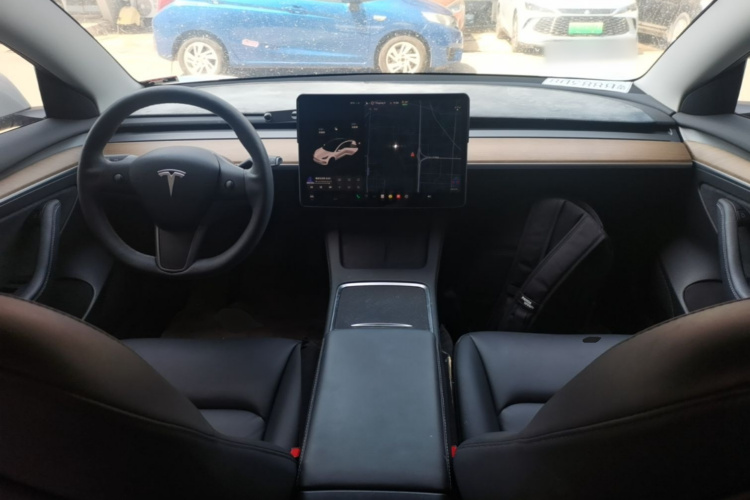 Tesla Model 3 2021 car image #10