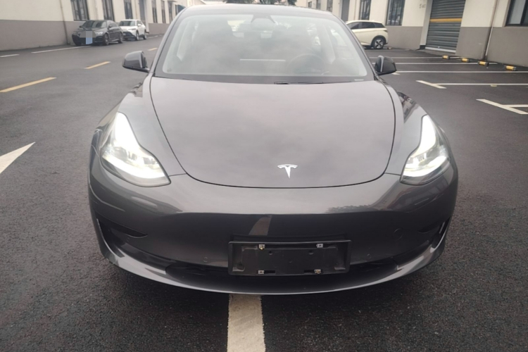 Tesla Model 3 2021 #3 Tesla Model 3 2021 car image #3