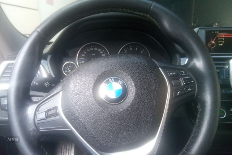 BMW 3 Series 2016 car image #12