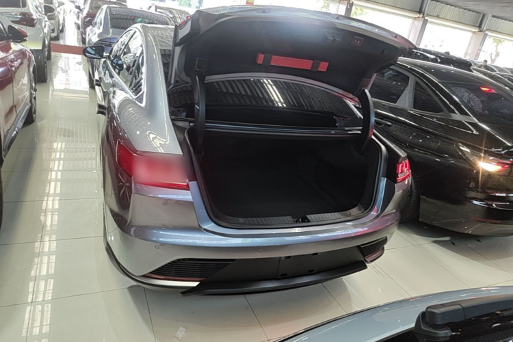 BYD Han 2022 car image #19