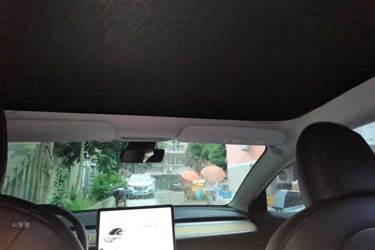 Tesla Model 3 2020 car image #20