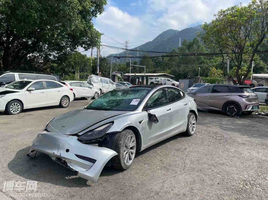 Tesla Model 3 2021 car image #13