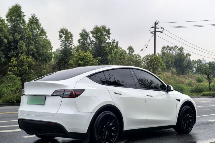 Tesla Model Y 2023 #6 Tesla Model Y 2023 car image #6