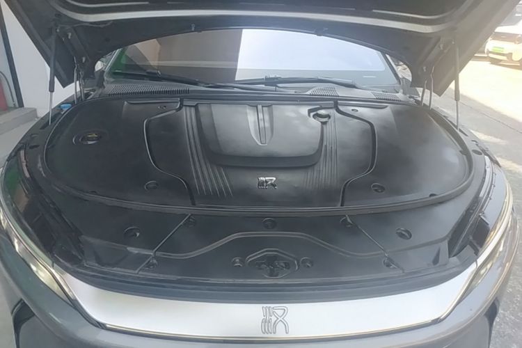 BYD Han 2021 imagen de coche #29