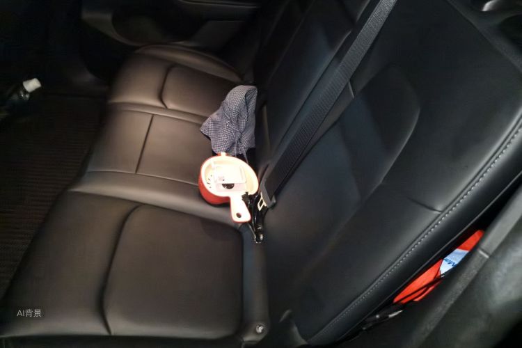 Tesla Model Y 2024 car image #19