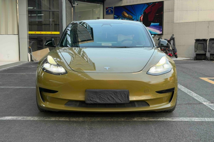 Tesla Model 3 2021 #6 Tesla Model 3 2021 car image #6