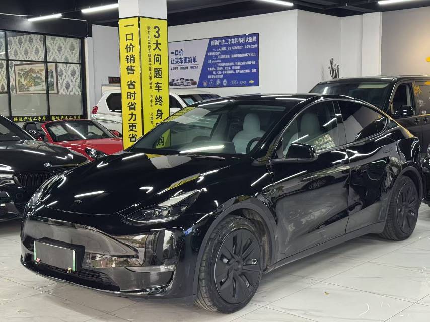 Tesla Model Y 2021 Tesla Model Y 2021 car image