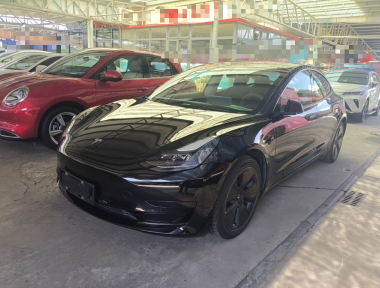 Tesla Model 3 2021 car image 