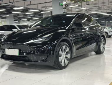 Tesla Model Y 2023 Tesla Model Y 2023 car image