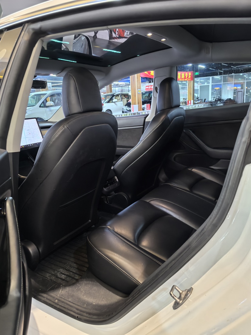 Tesla Model 3 2021 car image #4