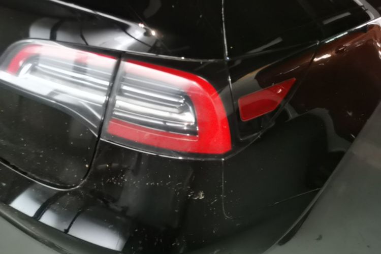 Tesla Model 3 2021 car image #8