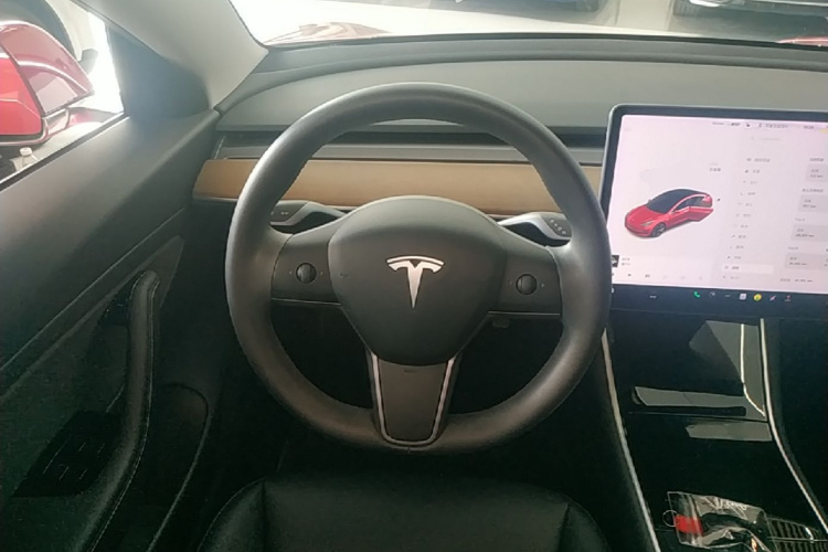 Tesla Model 3 2020 car image #15
