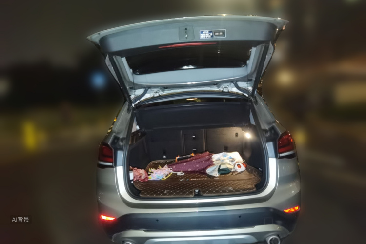 BMW X1 2021 car image #21