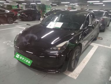 Tesla Model 3 2021 car image 
