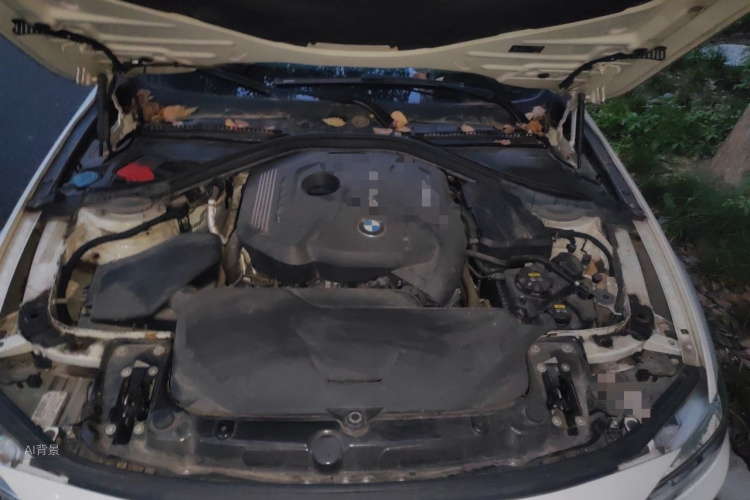 BMW 3 Series 2019 car image #22