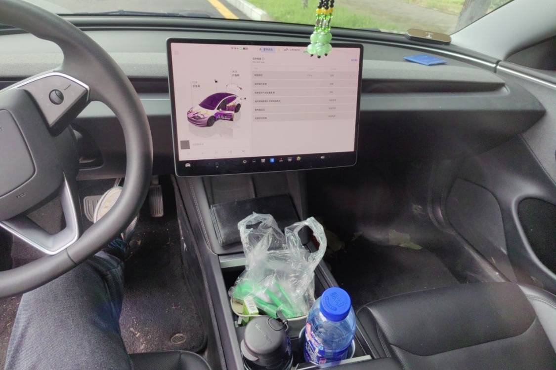 Tesla Model 3 2023 car image #26