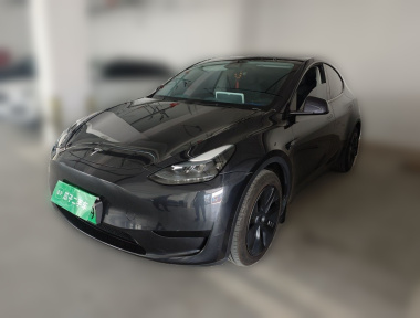 Tesla Model Y 2024 Tesla Model Y 2024 car image