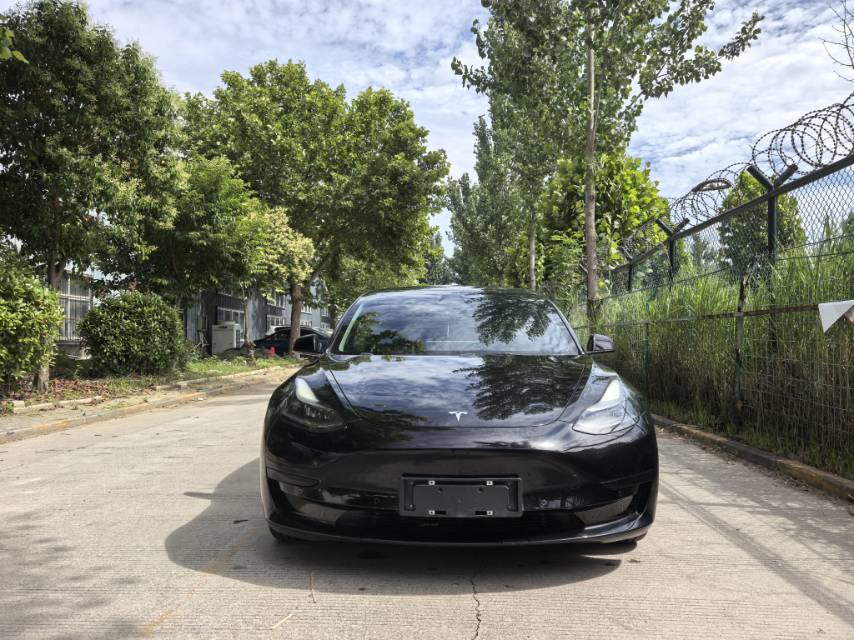 Tesla Model 3 2021 #2 Tesla Model 3 2021 car image #2